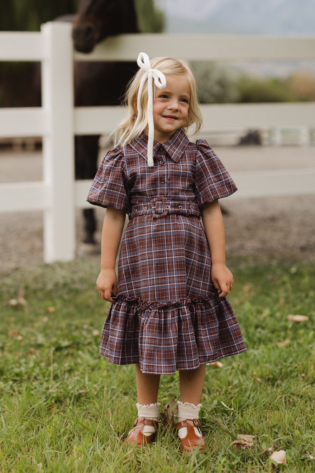 Mini Virginia Dress in Plaid