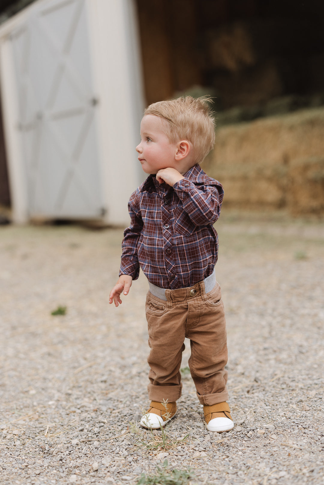 Baby Boys John Shirt in Virginia Plaid