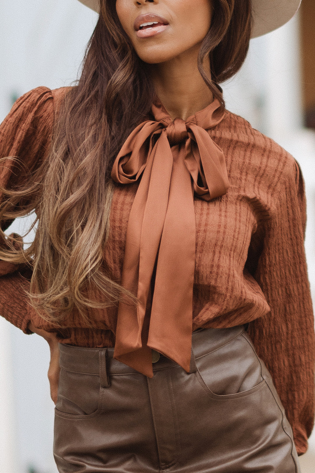 Sybil Blouse in Brown