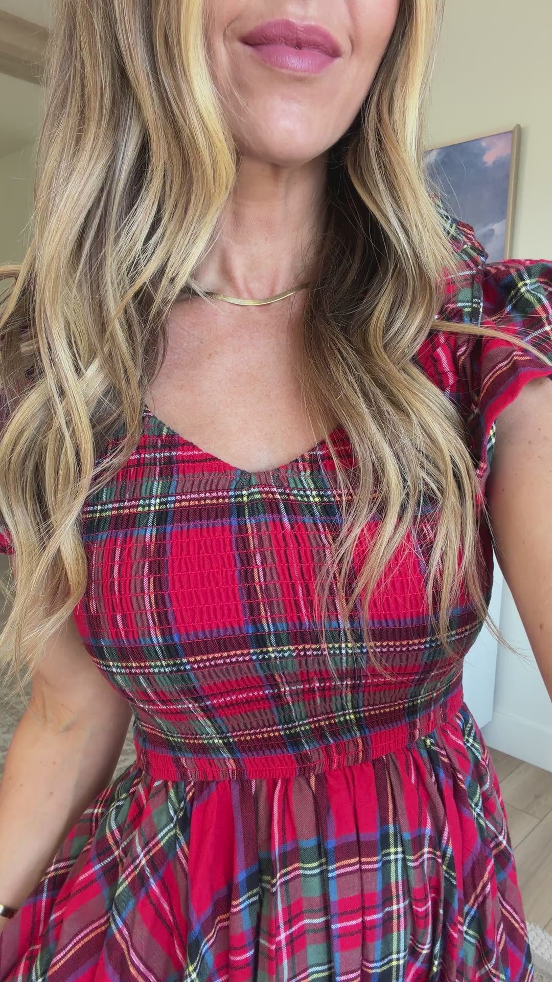 Hattie in Holiday Plaid.mov