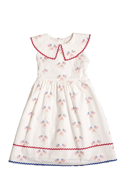 Mini Maisy Dress in Star Spangled – Ivy City Co
