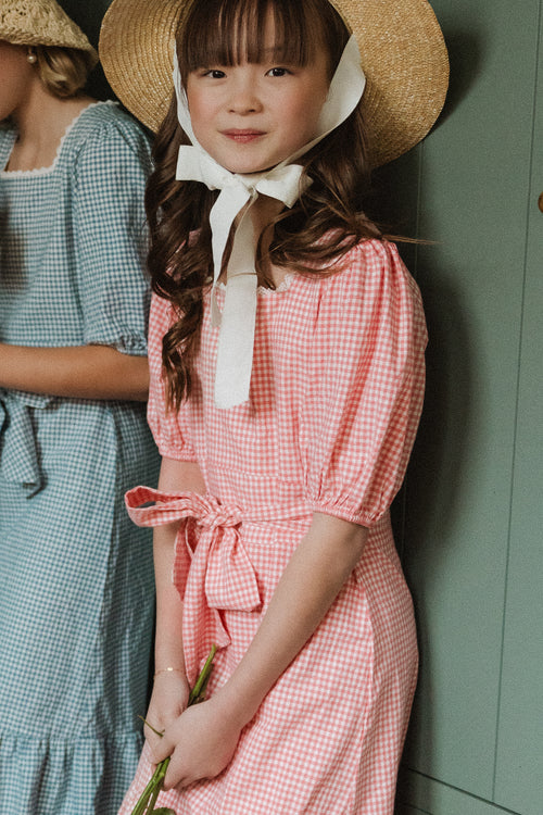 Mini Hannah Dress in Pink Gingham