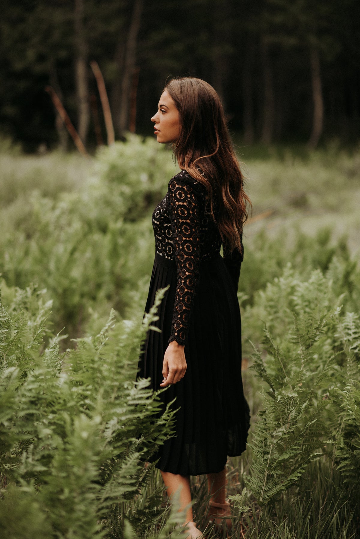 Arabella Lace Dress in Black