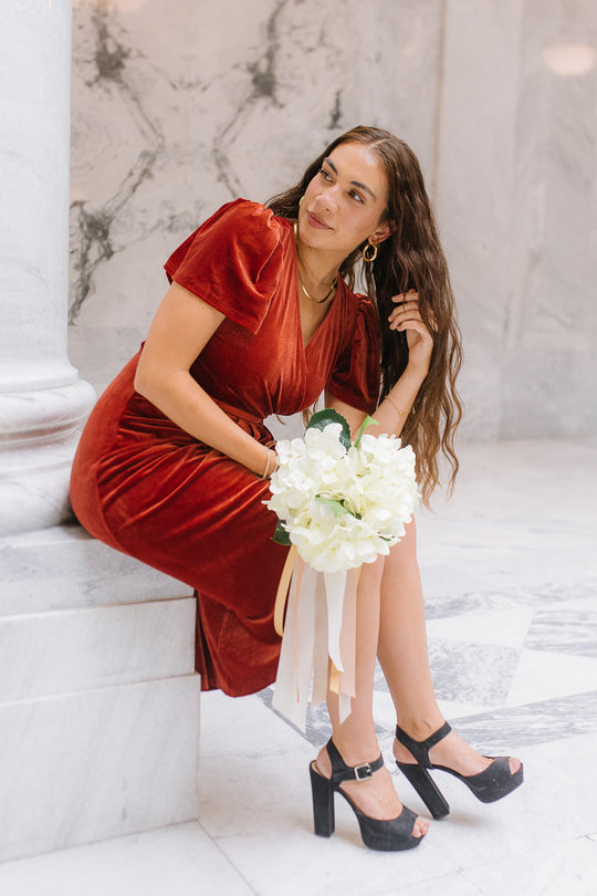 Lillie Dress in Brick Velvet