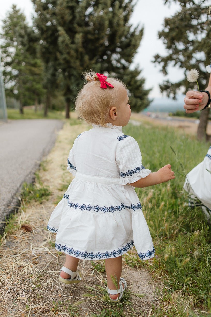 Girl baby best sale dress set