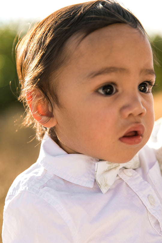 Valencia Bow Tie in Sage