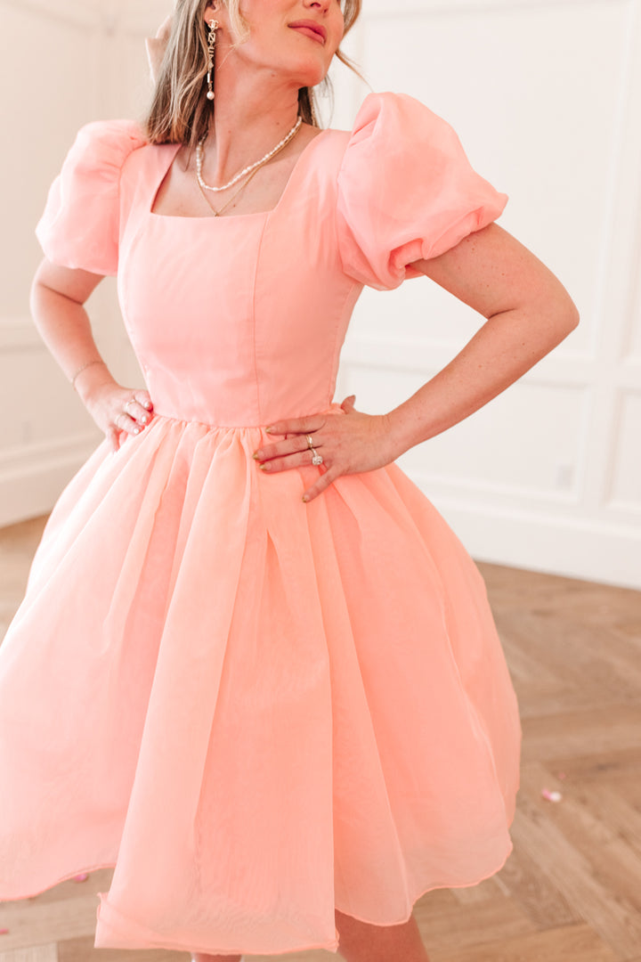 Cupcake Dress in Pink - FINAL SALE